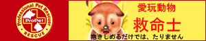 愛玩動物救命士