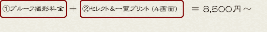 ①プルーフ撮影料金+②一覧プリント&セレクト+③プリント料金+④台紙料金
