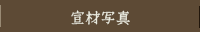 お受験用写真