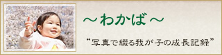 わかば